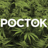 POCTOK