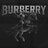 lBURBERRYl